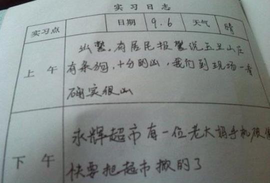 顶岗实习日记范文（通用10篇） 实习日记100篇通用版