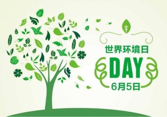 “世界环境日”宣传活动总结