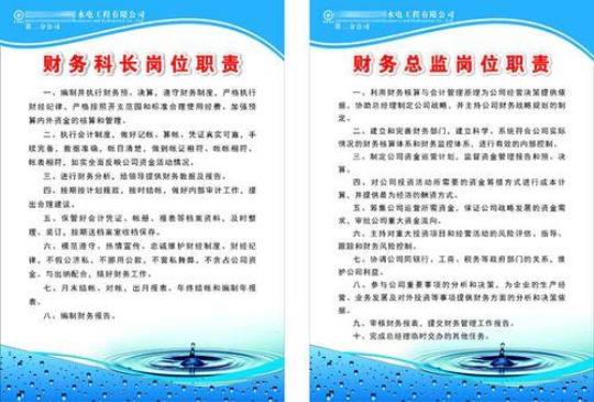 酒店财务总监计划2000字 酒店财务总监岗位职责