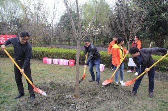 大学生植树节活动总结