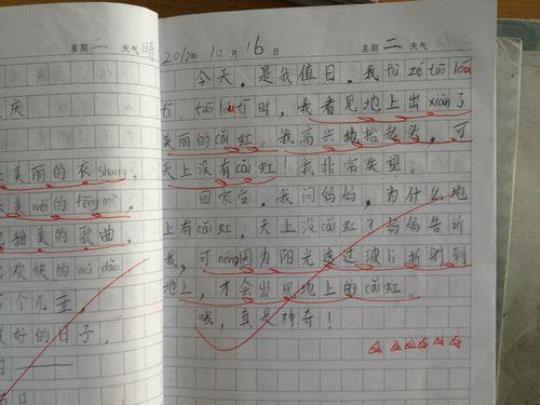 实习日记范文 实习总结3000字