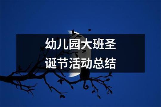 幼儿园中班圣诞节活动总结范文 幼儿园中班区域活动总结