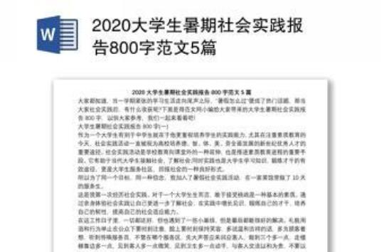 大学社会实践报告800字 大学社会实践报告2000字