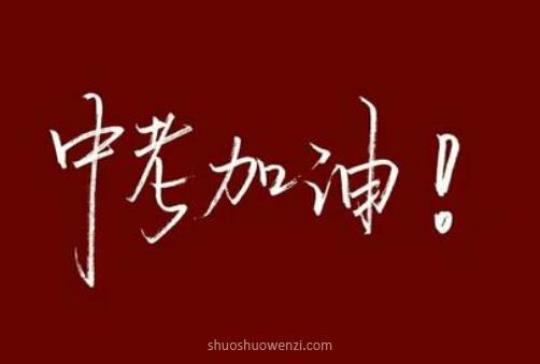 为中考加油的励志演讲稿 中考励志演讲稿800字作文
