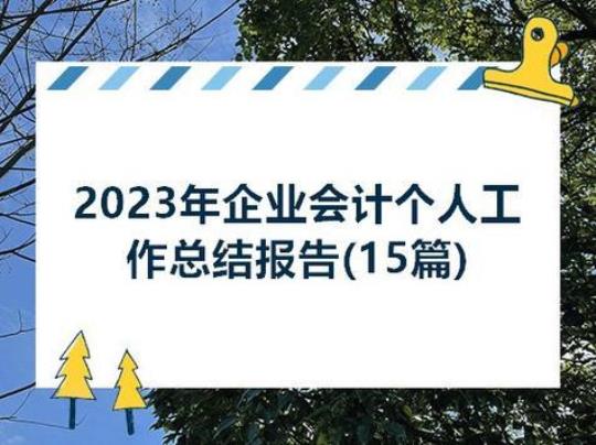 2023公司财务经理个人总结与计划