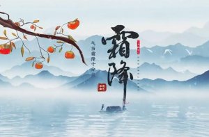 霜降文档大全