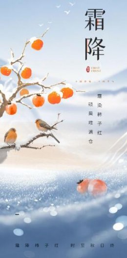 霜降-标准下载