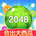 合出大西瓜完整版