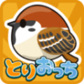 小鸟观察器完整版