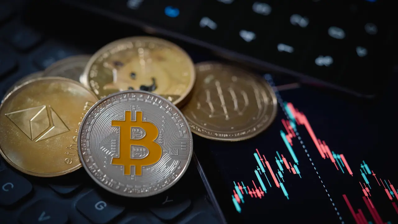 Bitwise CEO：「BTC」谷歌搜索热度接近底部表明当前价格并非由散户投资者支持
