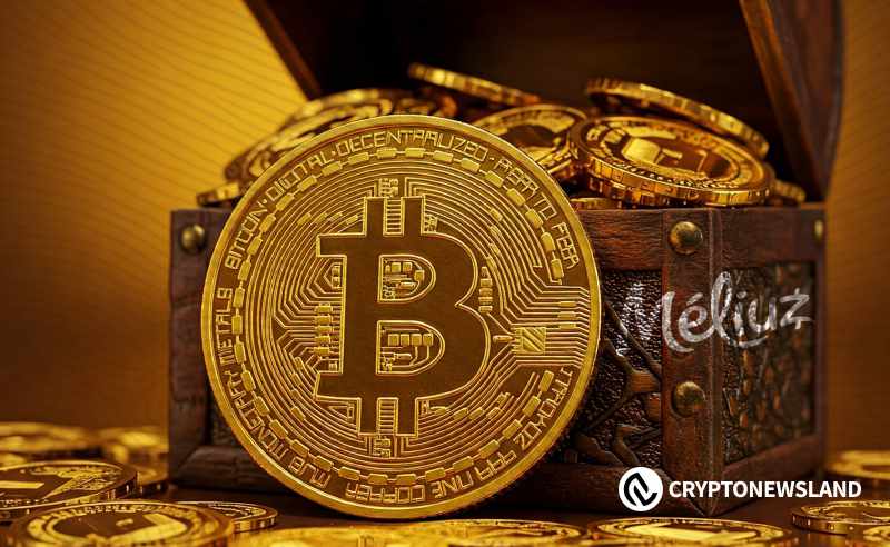 新比特币巨鲸在价格突破11万美元之际增持30万枚BTC
