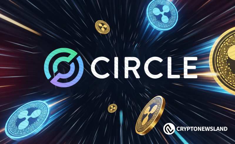 Ripple CEO否认在IPO准备期间以50亿美元收购Circle的传闻