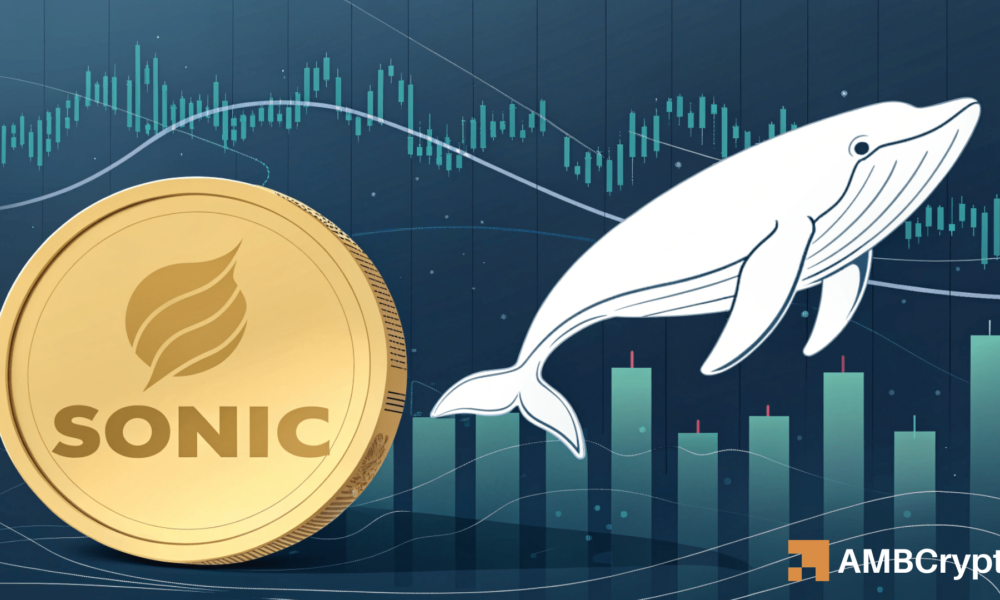 Sonic鲸鱼开始行动——这些信号对散户投注意味着什么！