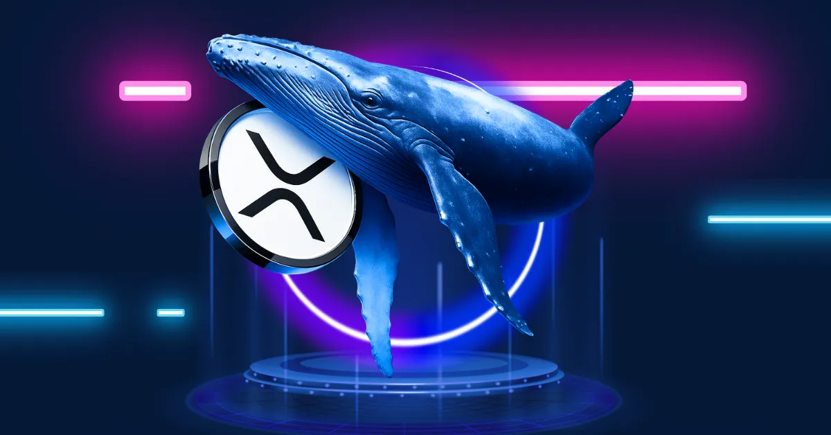 XRP账本用户激增800%：价格即将迎来突破？
