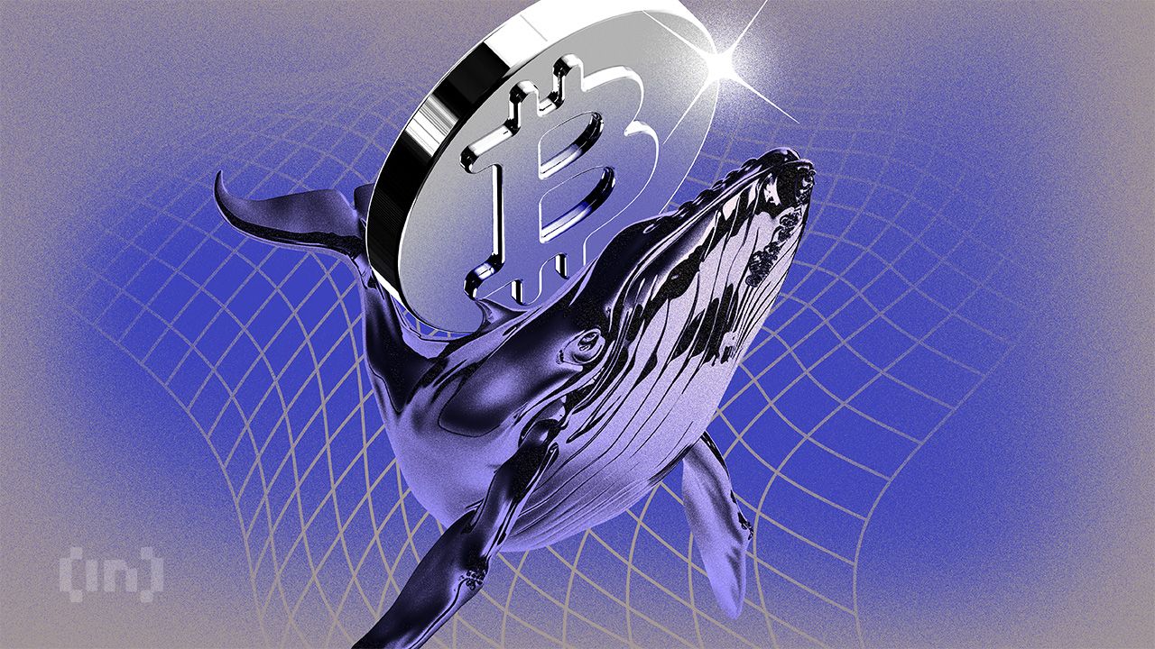 巴西金融科技公司成为最大比特币持有者之一