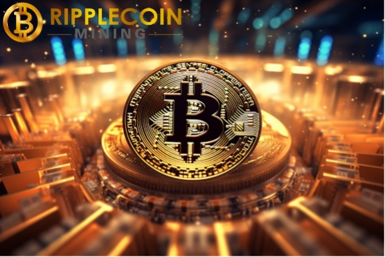 一周赚67,500美元？BTC持有者揭秘云挖矿盈利秘诀