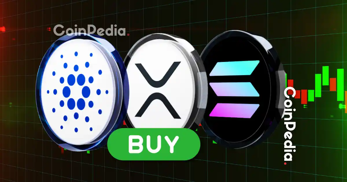 XRP、SOL、ADA和DOGE：这是买入这些山寨币的最后机会吗？