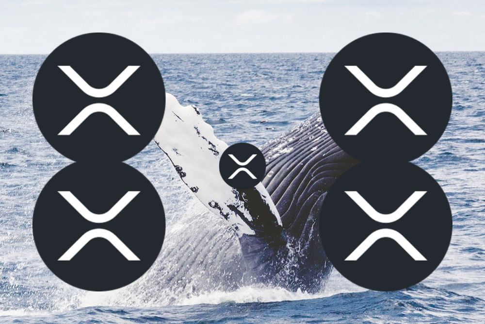 XRP价格与鲸鱼资金流动（百万美元）随时间的关系