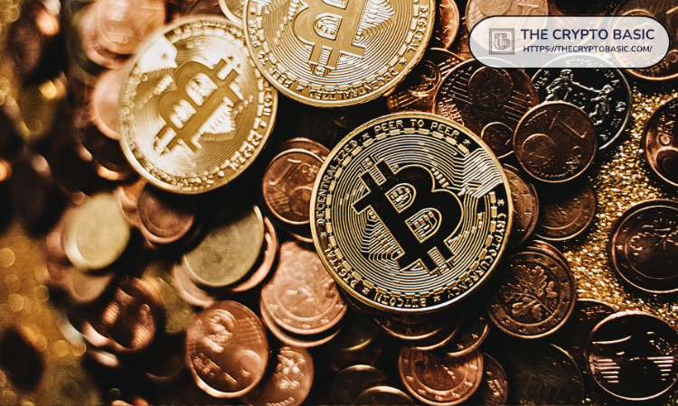 比特币巨鲸一年内减持50万枚BTC，机构投资者入场：彭博社