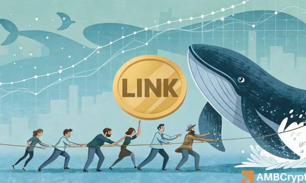 Chainlink – 巨鲸在买入，但价格会有所反应吗？