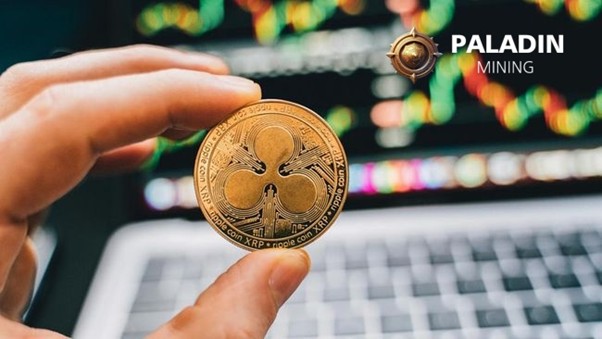 无需任何硬件！使用XRP启动比特币矿机，每天赚取5000美元！