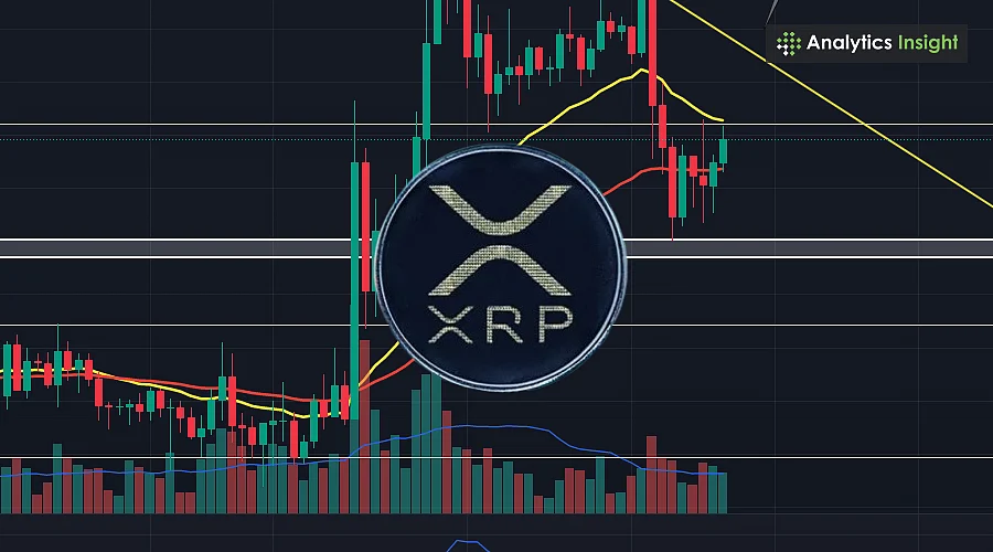 XRP价格预测：全球普及能否推动其迅速突破30美元？