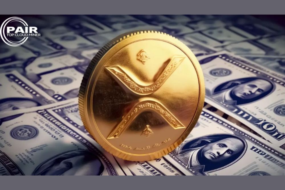 顶级交易员对XRP持有者表示：是时候为退休行情做准备了