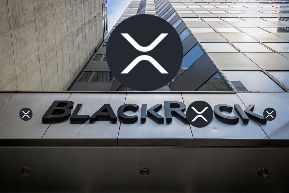 专家向XRP持有者喊话：当贝莱德入场时，你会庆幸自己拥有1个XRP