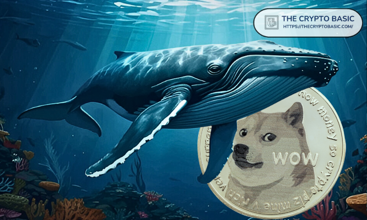 48小时内超3.1亿枚DOGE：狗狗币巨鲸正大举抄底