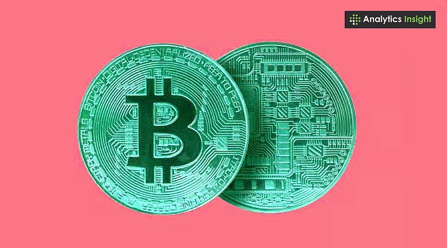 2025年拥有比特币有多稀有？不到1%的人持有