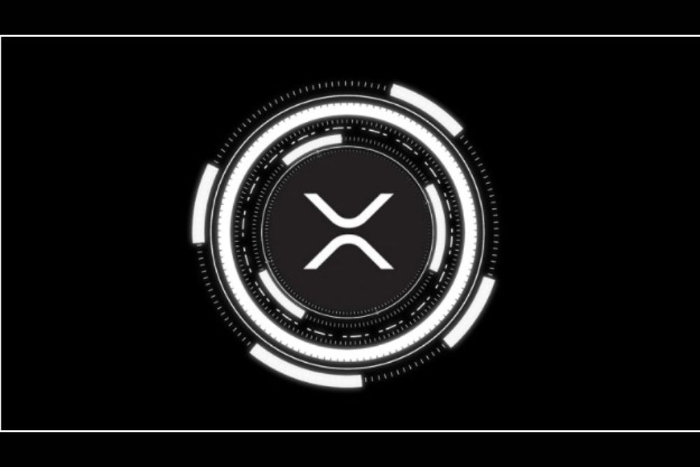 XRP正在逆市而动