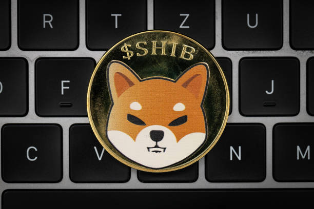 LEASH V2发布对柴犬币持有者意味着什么