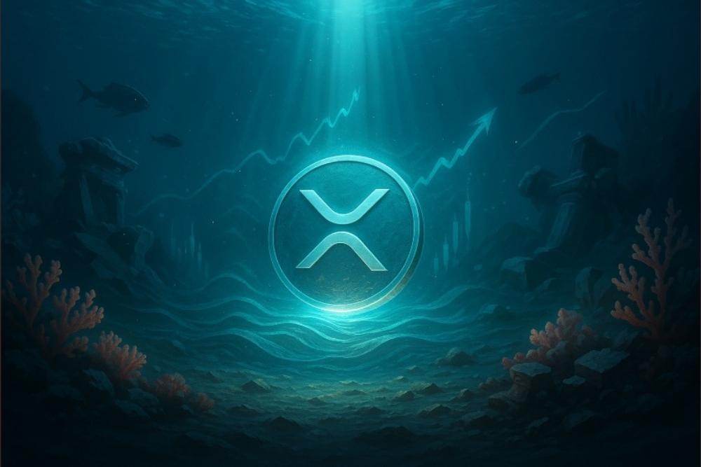 分析师称XRP一路飙升。原因如下