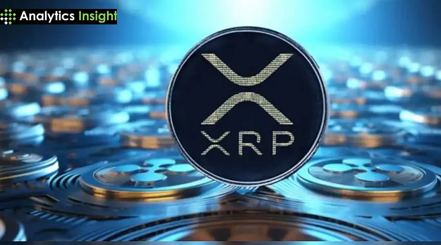 XRP今日动态：分析师警告暂勿抛售XRP，诉讼胜诉与ETF催化剂或助推价格上涨