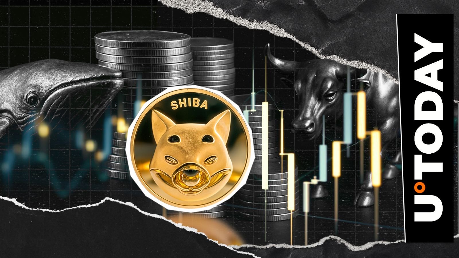 Coinbase 流出 191,857,258,199 枚 SHIB，新柴犬币模因币牛市诞生