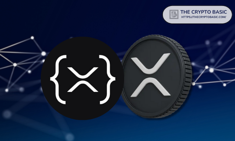 不仅是XRP：Chainalysis现已追踪XRPL上的26万多种代币