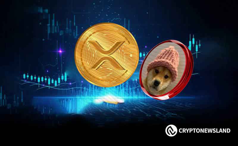 山寨币XRP和WIF显示强劲拉升信号，新高将至、山寨季巅峰在望？