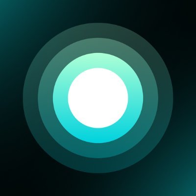 Snowball 空投标准