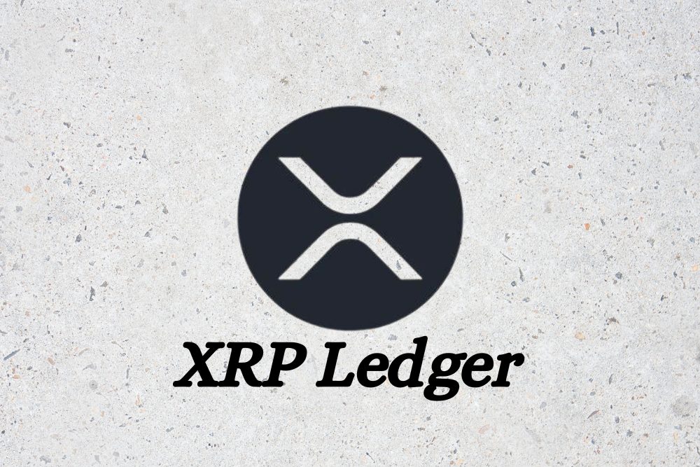 XRP账本价格预言机功能验证揭秘