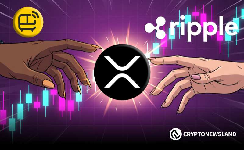 XRP处于十字路口：未来几个月是下跌还是反弹？