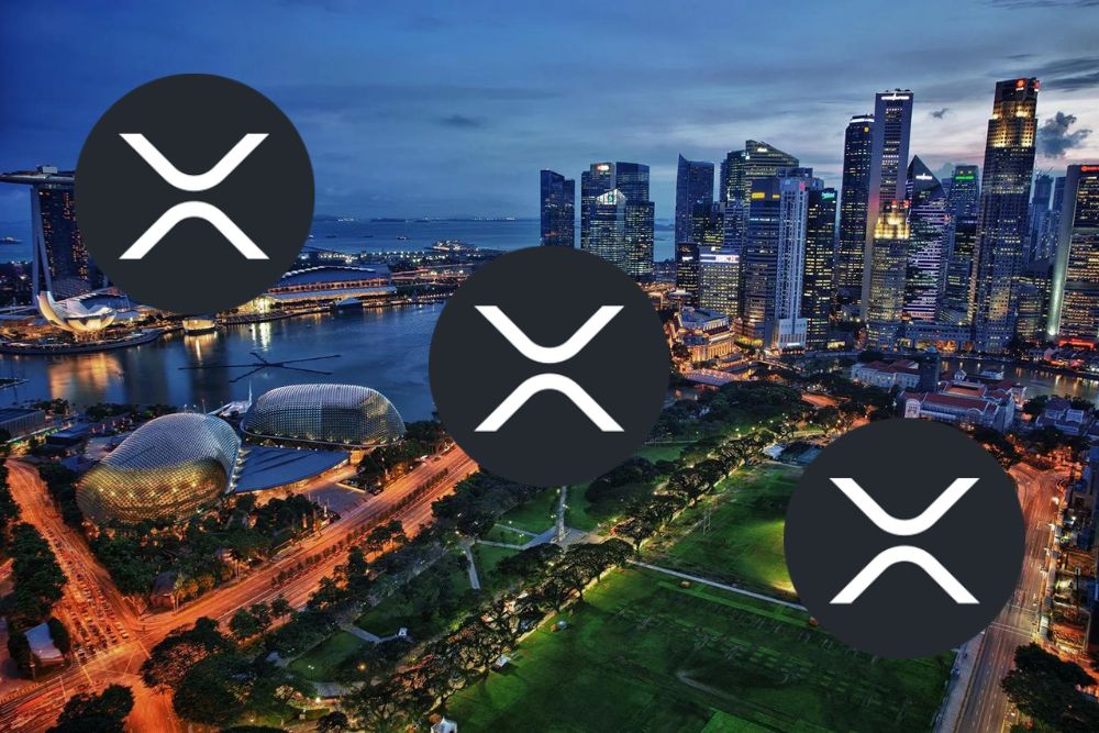 专家向XRP持有者喊话：系好安全带，华尔街正瞄准XRP