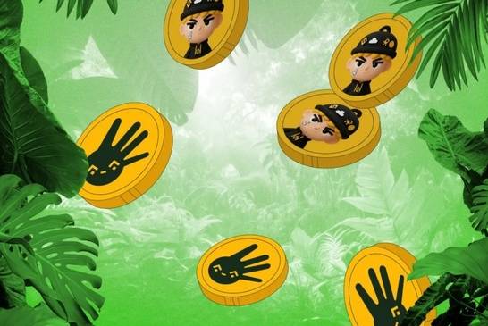 BNB 链 Memecoin 一夜暴跌 90%，徐明星犀利点评：一场注定归零的信仰式传销