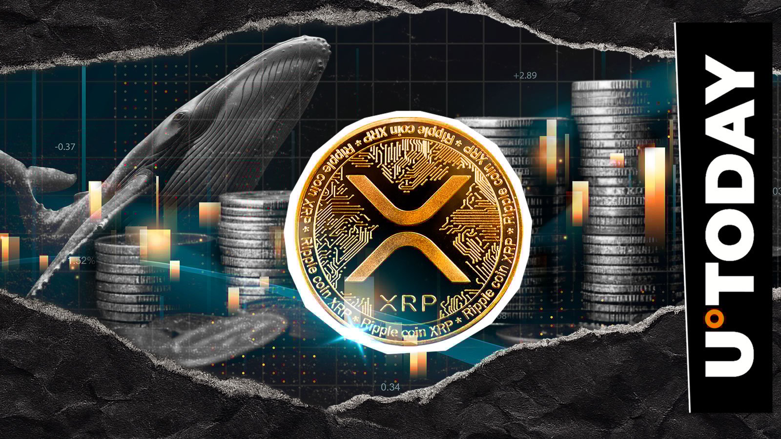 鲸鱼正在以惊人的速度抛售XRP