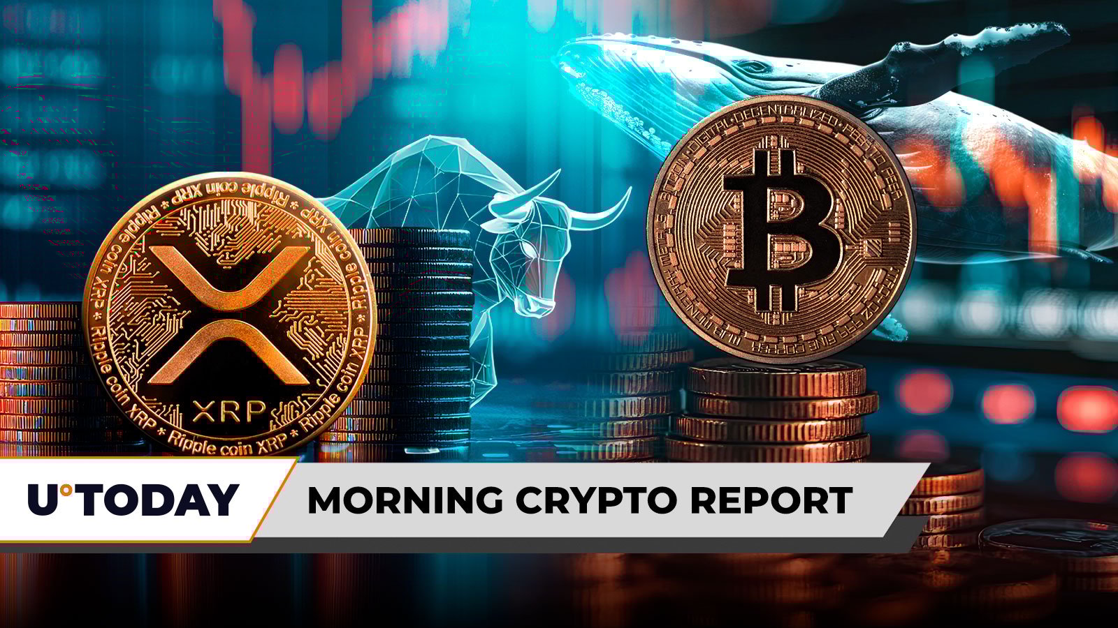 早间加密货币快讯：“比特币耶稣”获释？XRP多头遭遇3192%清算失衡血洗，巨鲸豪掷6亿美元做空BTC