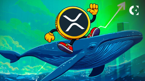 瑞波今天在抛售XRP吗？7000万转账背后的真实含义