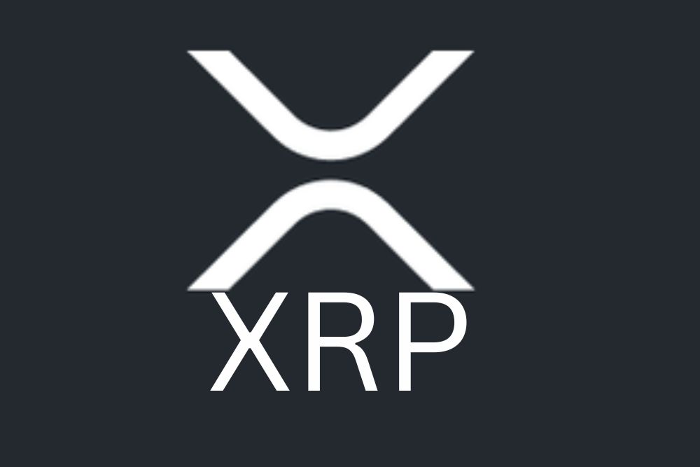 关于首家XRP Treasury公司你需要了解的四件大事