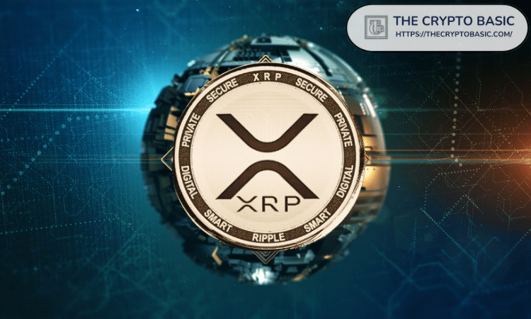 顶级开发者表示，一旦政府重新开放，可能会有重大XRP新闻