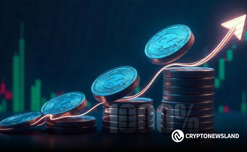 11月突围之选：蓄势待发的山寨币强势季