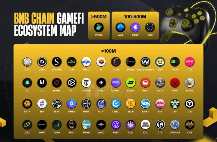 市值超过 1 亿美元的项目