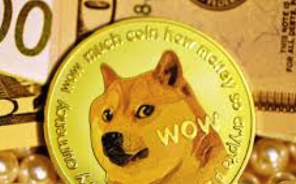 1767505169900158.jpeg 狗狗币4-调整为中尺寸.jpeg